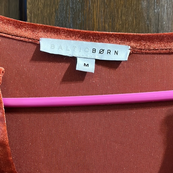 Artemis velvet dress - Picture 3 of 5